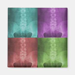 Digital X-Ray Art Magnet