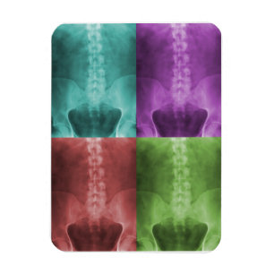 Digital X-Ray Art Premium Magnet