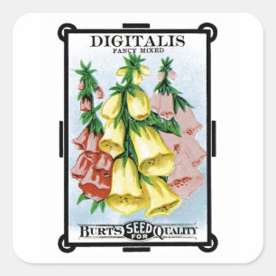 Digitalis Seed Packet Label
