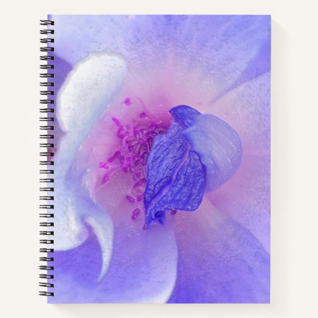 *~* Digitally Modified Rose from Pink to Blue Notebook (Front)