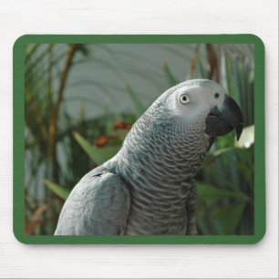 Dignified African Grey Parrot Mouse Mat