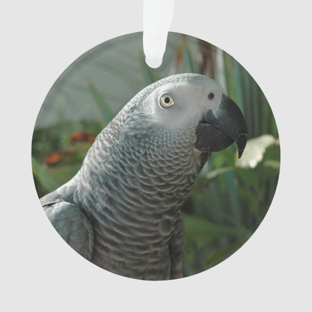 Dignified African Grey Parrot Ornament (Front)