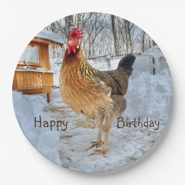 Dignified Chicken Happy Birthday Paper Plate (Front)