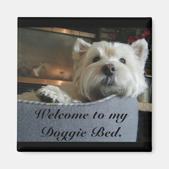 Dignified Westie Photo Magnet (Front)