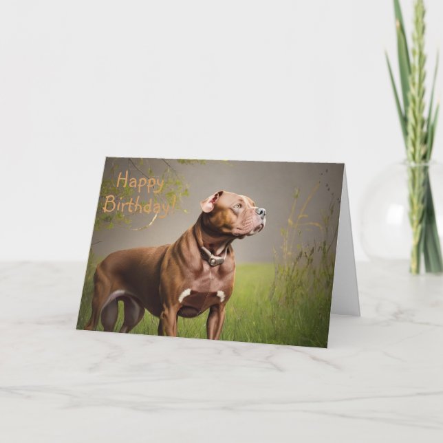 DignifiedBrown Pitbull Birthday Card (Front)