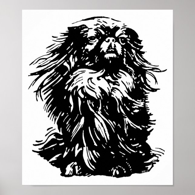 Dignity Pekingese Poster (Front)