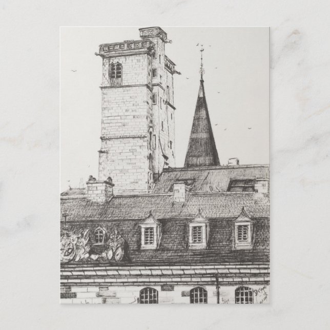 Dijon Rooftops France.2008 Postcard (Front)