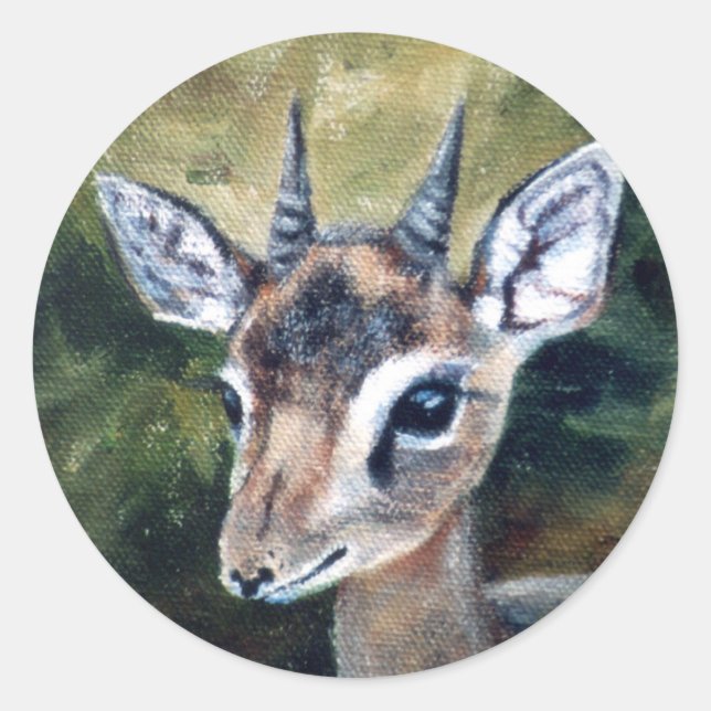 Dikdik Dwarf Antelope Sticker (Front)