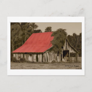 Dilapidated Red-Roofed Barn Postcard