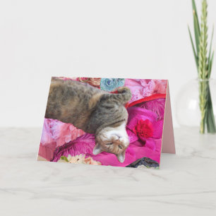 Dilemma of Princess Tatus Cat Card