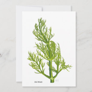 Dill Art Invitation