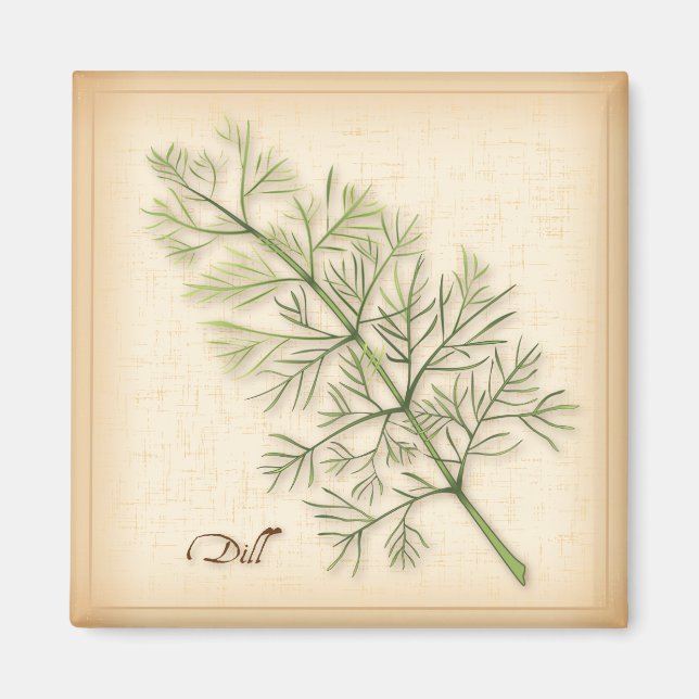 Dill Herb, Dill Weed Magnet (Front)