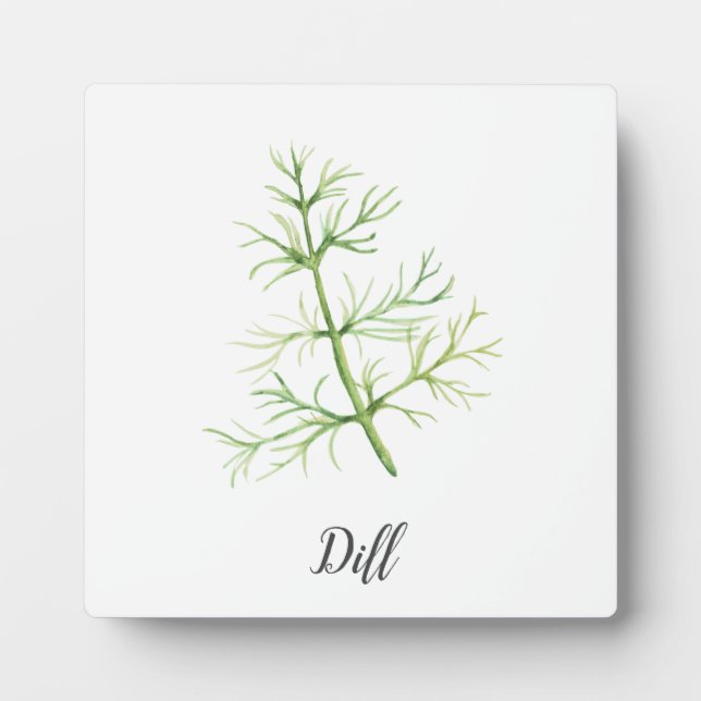 Dill Herb Watercolor Illustration Plaque (Front)