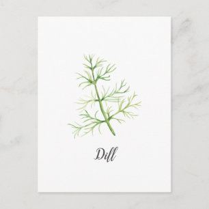 Dill Herb Watercolor Illustration Postcard