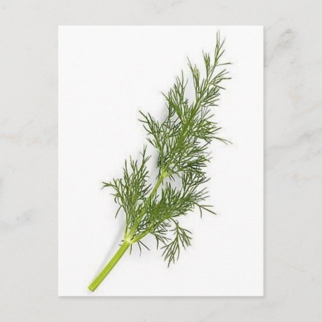 Dill Weed Postcard (Front)
