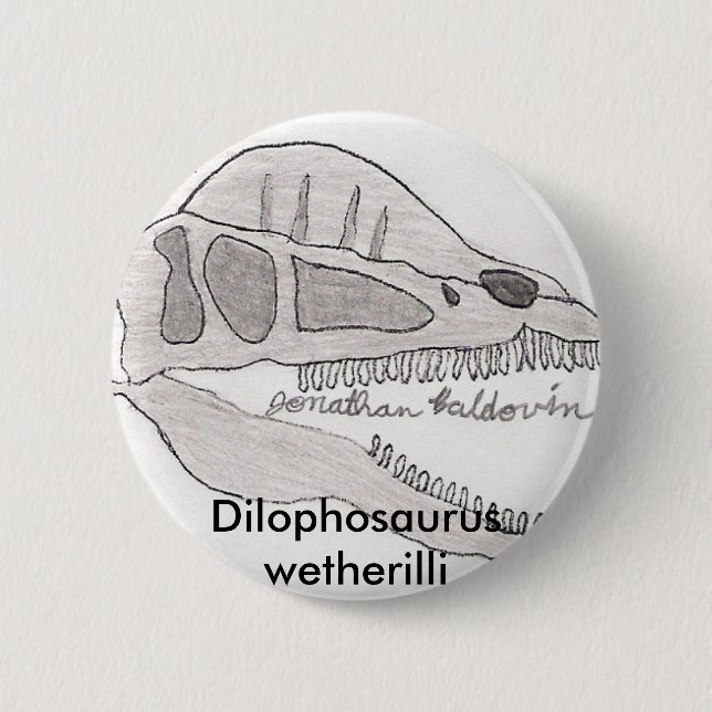 Dilophosaurus button (Front)