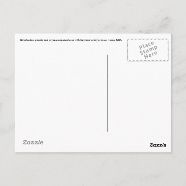 Dimetrodon Post Card (Back)