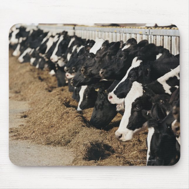 Diminishing Perspective of Cow's Heads Grazing Mouse Mat (Front)