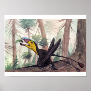 Dimorphodon Print