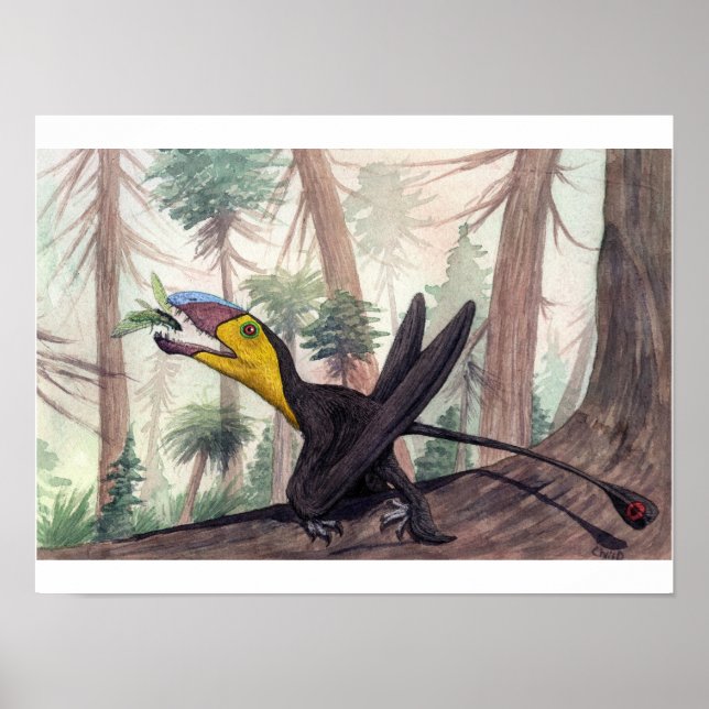 Dimorphodon Print (Front)
