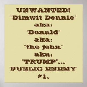 "Dimwit Donnie" Trump, public enemy #1 poster