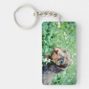 Dinah & Littermates Double Photo Keepsake Key Ring
