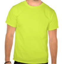 Ding Duck Take Off Aviation Shirt