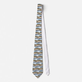 Dinghy On The Beach Tie