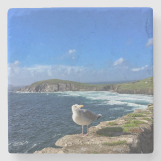 Dingle Peninsula, Ireland, Seagull Coaster