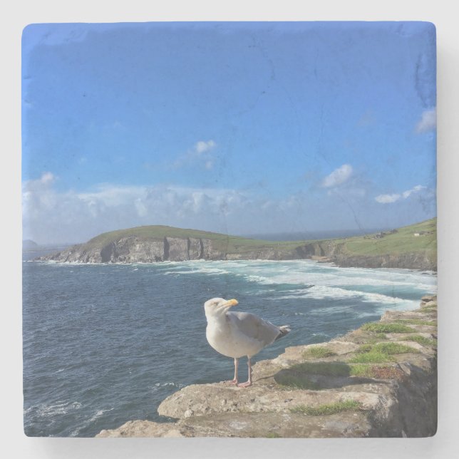 Dingle Peninsula, Ireland, Seagull Coaster (Front)
