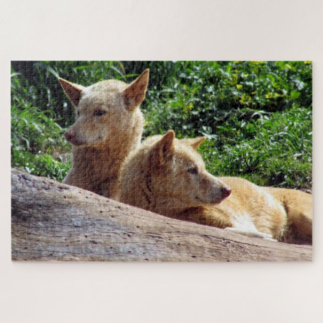 dingo jigsaw puzzle (Horizontal)