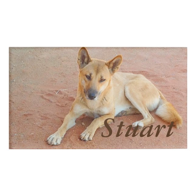 Dingo name tag (Front)