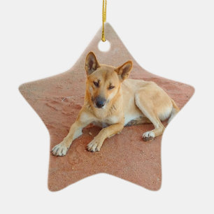 Dingo ornament