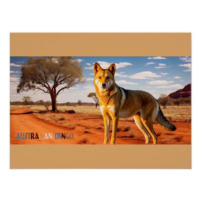 Dingo Wild Australian Dog Poster (Front)
