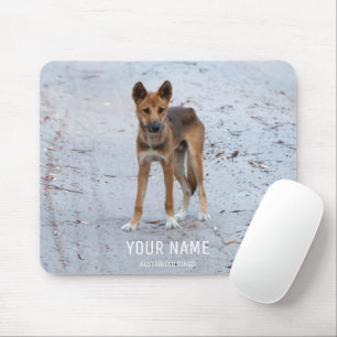 Dingo Wild Dog Australia Fraser Island Animal Mouse Mat