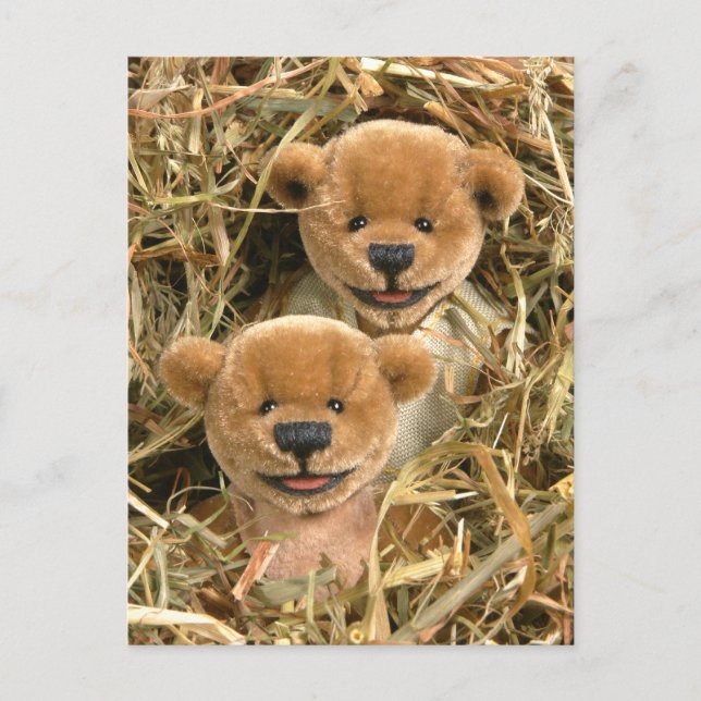 Dinky Bears Farmer Kids Postcard (Front)