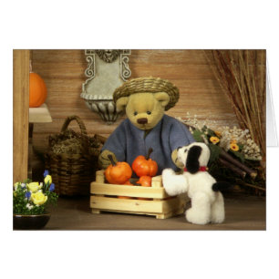 Dinky Bears Little Gardener