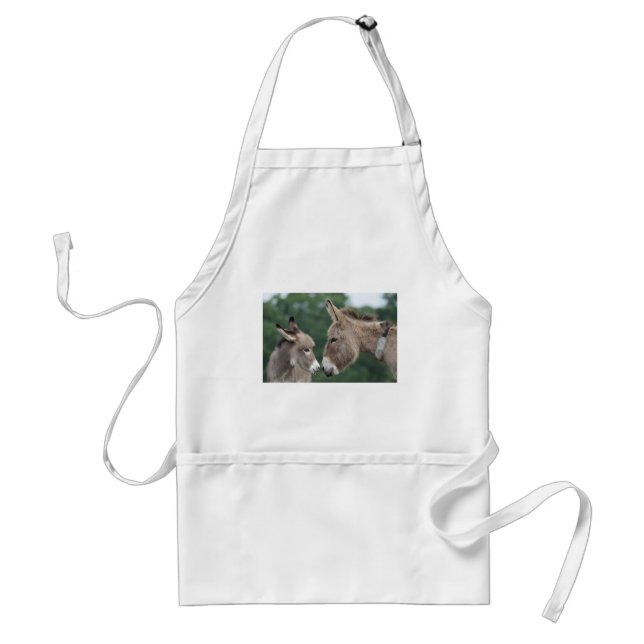 Dinky donkey standard apron (Front)