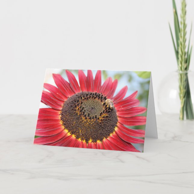 Dinner Time Holiday Card (Front)