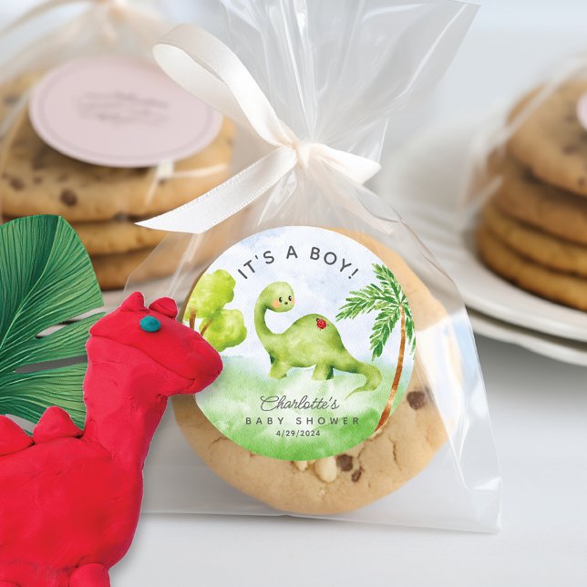 Dino Delight Baby Shower It's a Boy Classic Round Classic Round Sticker (Creator Uploaded)