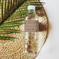 Dino Dig Excavation Hydration Birthday Party