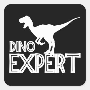 Dino Expert - Dinosaur Lovers Square Sticker