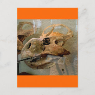 Dino Skull Oil Painting Postcard