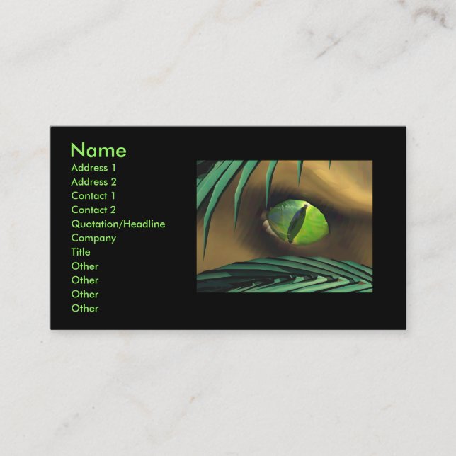 Dino Spy Business Card (Front)