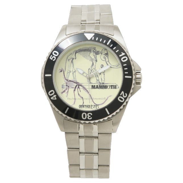 "DINO-TIME" WATCH (Front)