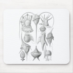 Dinoflagellates Mouse Mat