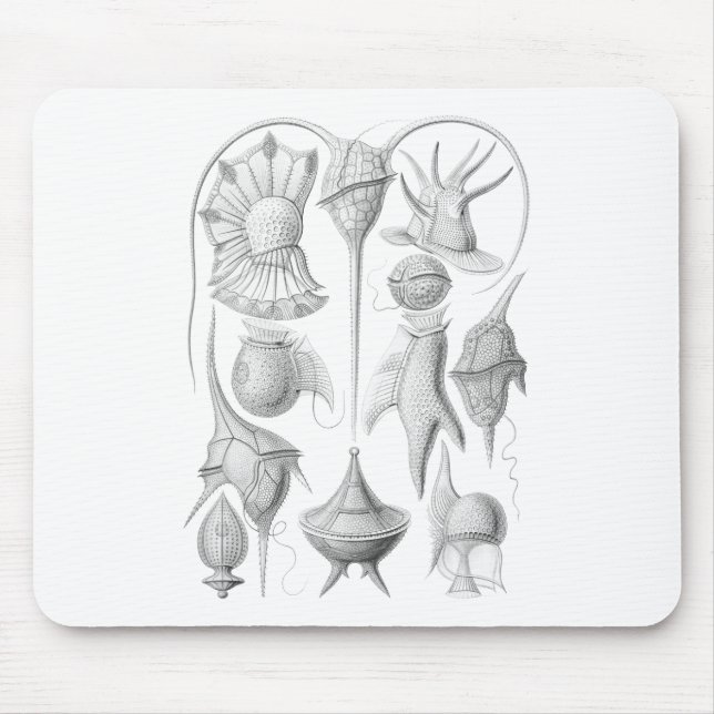 Dinoflagellates Mouse Mat (Front)