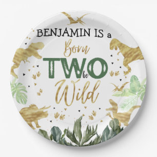 Dinosaur 2nd Birthday Party Paper Plate