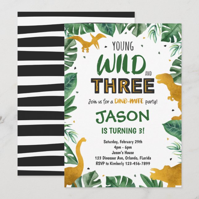 Dinosaur 3rd Birthday Invitation, Dinosaur Invites (Front/Back)