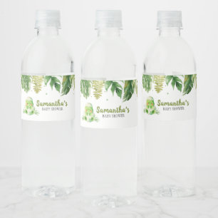 Dinosaur Baby Shower Water Bottle Label